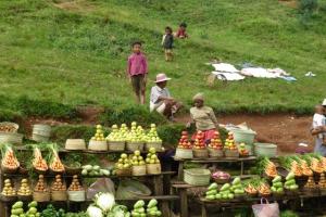 79 antsirabe en direction d andasibe vente legumes fruits